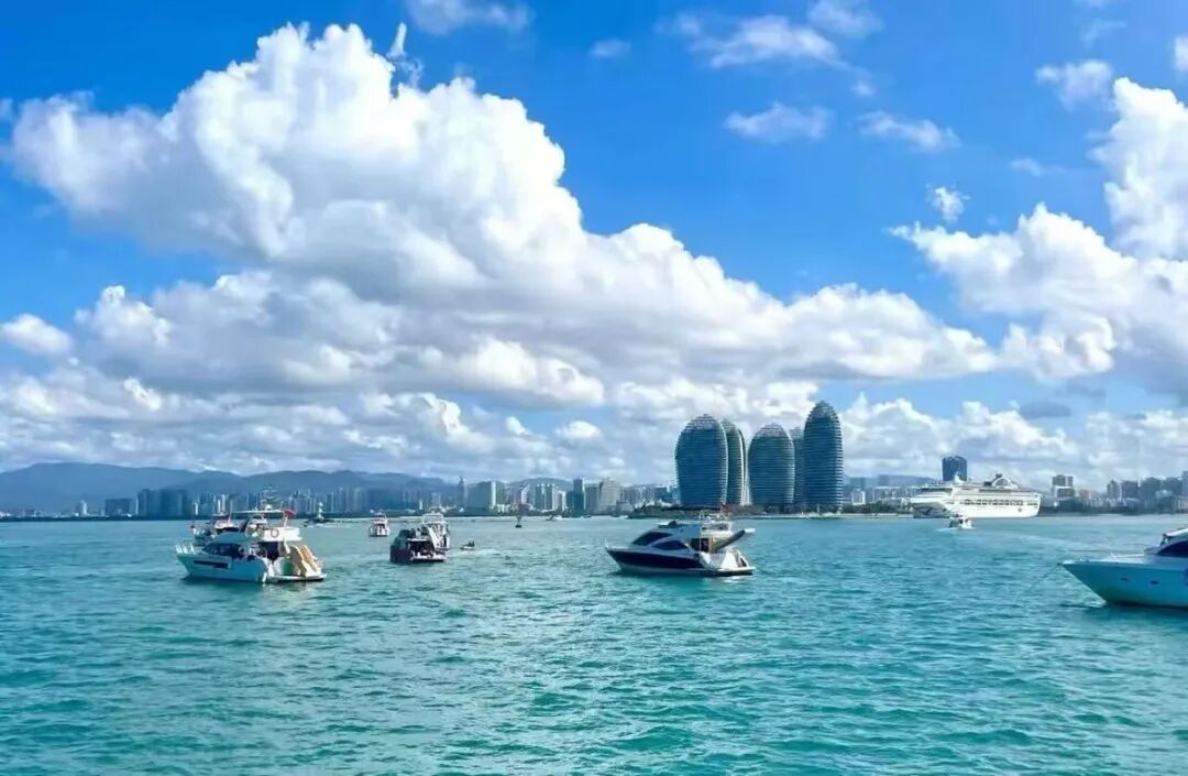 25亿美元待售 · 原文配图 10